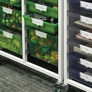 Student Agency enhanced by a diversity of color.